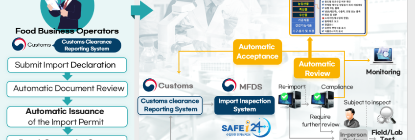 safe-i24(eng)