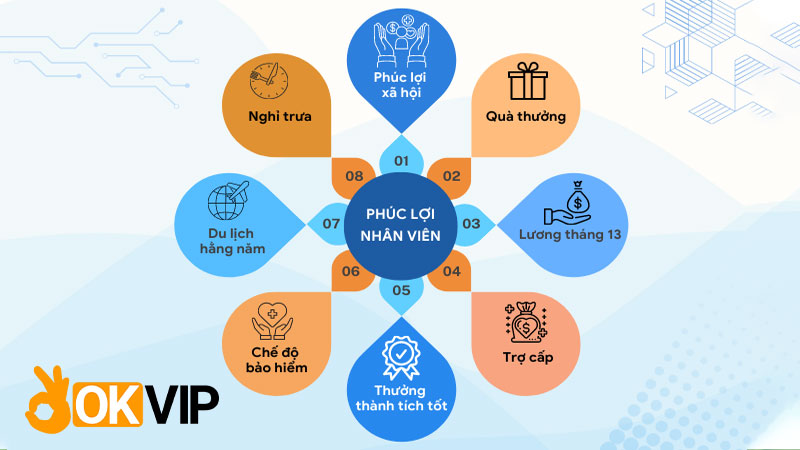 Chế độ lương thưởng và phúc lợi của nhân viên OKVIP cực tốt